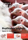 Issue-28-Swine-1