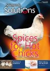Issue-31-Poultry-1