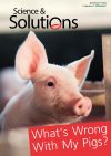 Special-Issue-swine-1