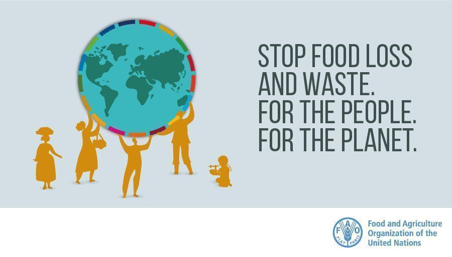 International Day Against Food Losses and Food Waste